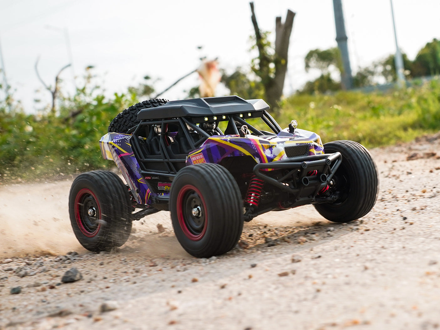 SUCHIYU 1/16 16106PRO ブラシレス高速RCデザートカー モンスタートラックRTR