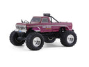 FMS 1:10 Ford F100 ラジコンモンスタートラック RTR 2WD